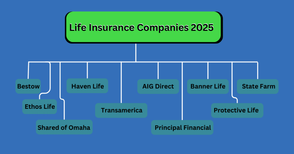 Best Life Insurance Companies 