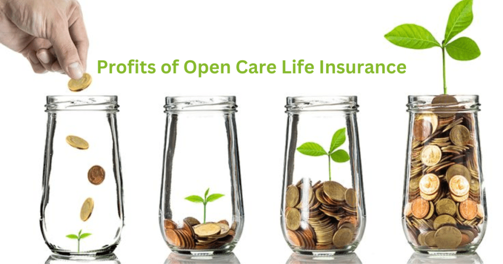 Profits of Open Care Life Insurance