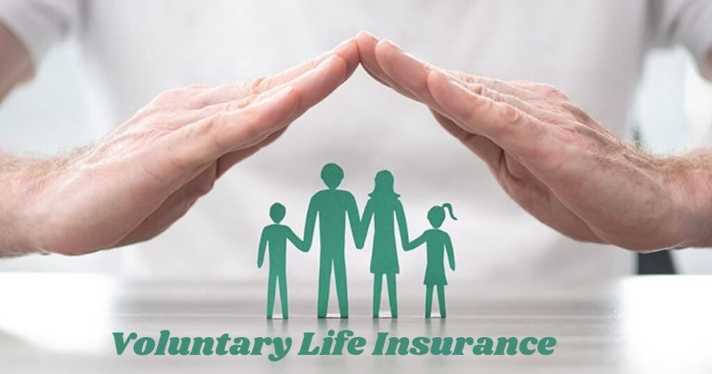 Voluntary Life Insurance